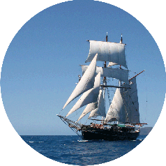 Kreuzfahrten Kreuzfahrten